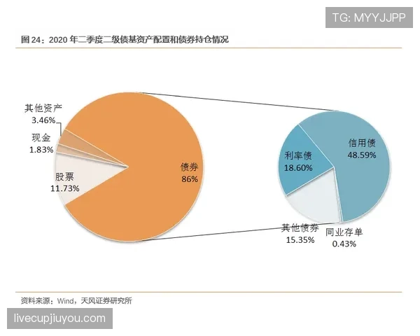 厄德高关键战表现稳定性分析